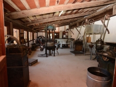 Olive oil mill - olive oil complete process