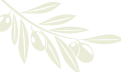 Ktima Demetriou Olive